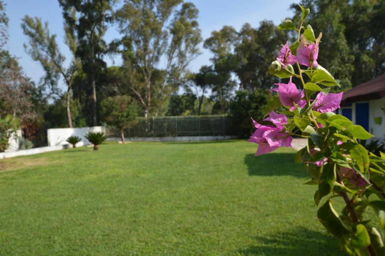 Casa Blanca B&B Latina Exterior photo